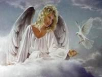 pic for angel of peace